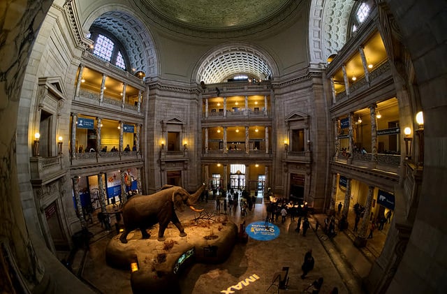 The Greatest Museums In Washington DC